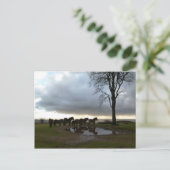 Exmoor Ponies Briefkaart (Staand voorkant)