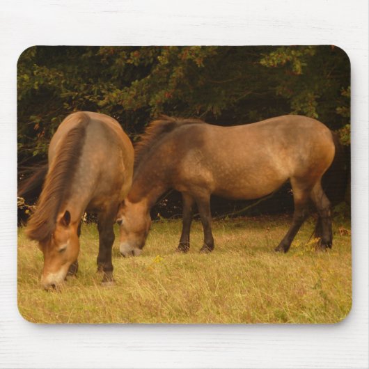 Exmoor Ponies Mousepad Muismat (Voorkant)