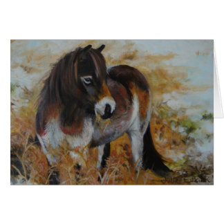 Exmoor Pony