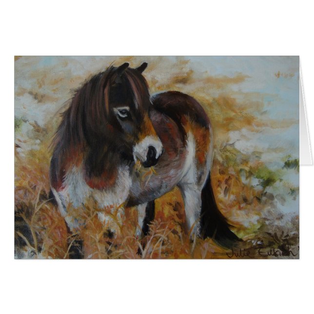 Exmoor Pony (Voorkant Horizontaal)