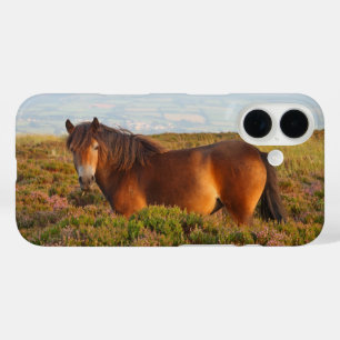 Exmoor pony, paard, Somerset, Engeland iPhone 16 Hoesje
