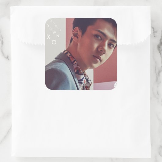 EXO Sehun Sticker (Tas)