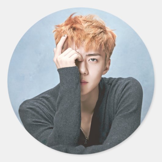 EXO Sehun Stickers (Voorkant)