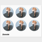 EXO Sehun Stickers (Vel)