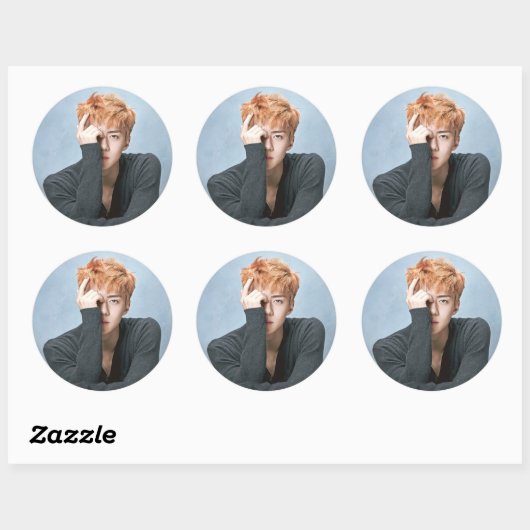 EXO Sehun Stickers (Vel)