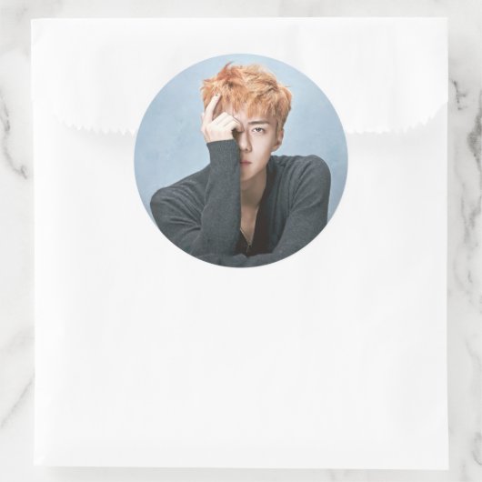EXO Sehun Stickers (Tas)