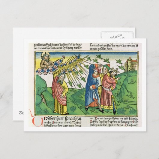 Exodus 10:1-20 De zeven Plagues van Egypte: het pl Briefkaart (Voorkant / Achterkant)