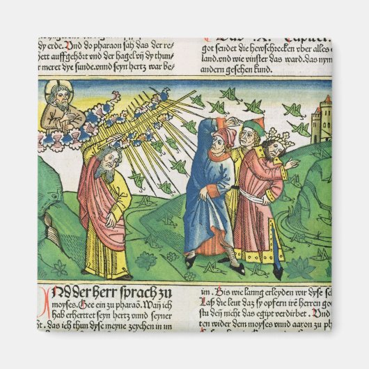 Exodus 10:1-20 De zeven Plagues van Egypte: het pl Magneet (Voorkant)