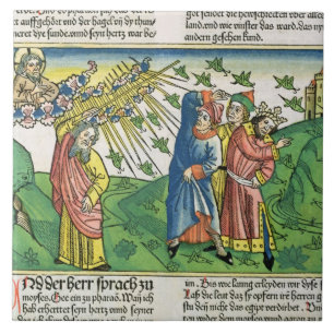 Exodus 10:1-20 The Seven Plagues of Egypt: het pla Tegeltje