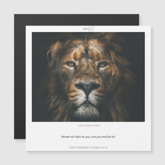 Exodus 14:14 GODS BELOFTE SCRIPIX magnetische kaar Uitnodiging (Voorkant / Achterkant)