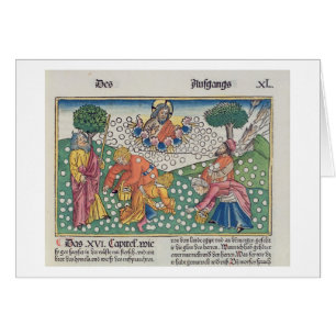 Exodus 16 13-22 God verstrekt kwartels en manna aa