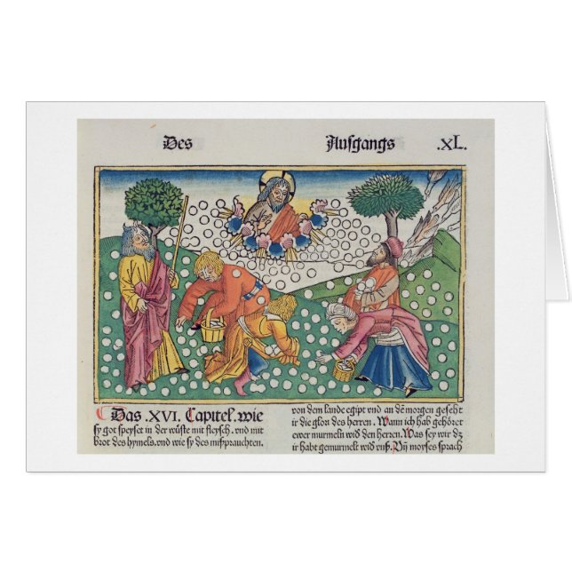 Exodus 16 13-22 God verstrekt kwartels en manna aa (Voorkant Horizontaal)