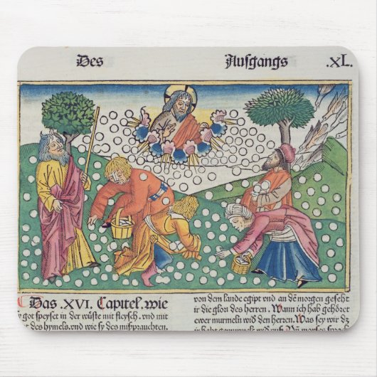 Exodus 16 13-22 God verstrekt kwartels en manna aa Muismat (Voorkant)