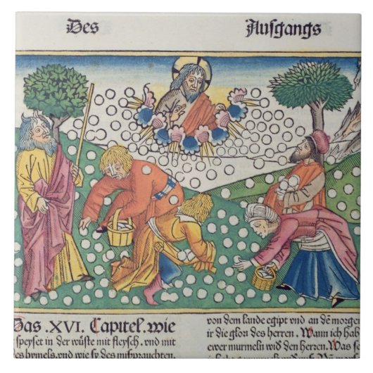 Exodus 16 13-22 God verstrekt kwartels en manna aa Tegeltje (Voorkant)