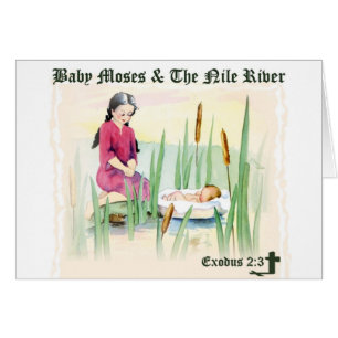 Exodus 2:3 - Baby Mozes op de Nijlrivier