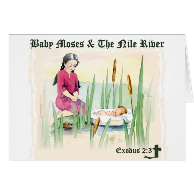 Exodus 2:3 - Baby Mozes op de Nijlrivier (Voorkant Horizontaal)