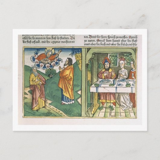 Exodus 8 1-15 De zeven pijlers van Egypte: Mozes e Briefkaart (Voorkant)