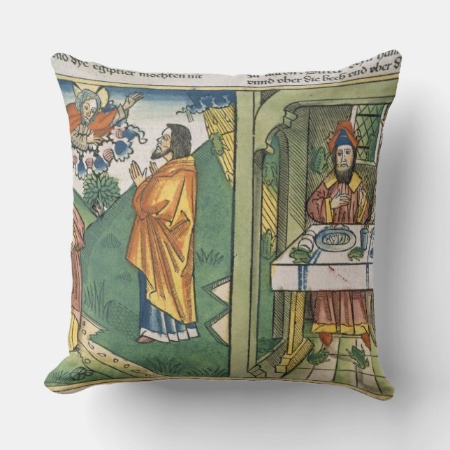 Exodus 8 1-15 De zeven vlaggen van Egypte: Moses a Kussen (Voorkant)