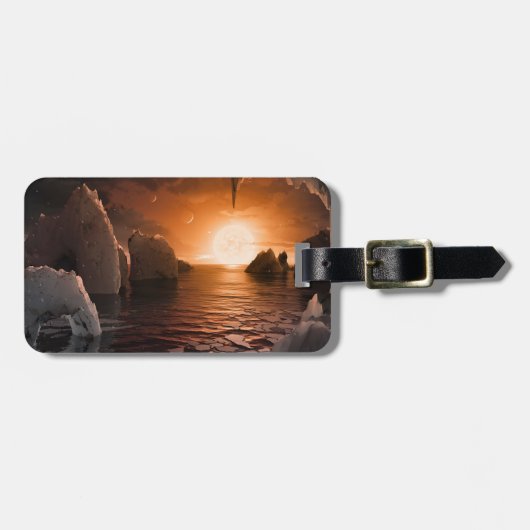 Exoplanet Trappist-1f vanaf zijn ijzige nachtzijde Bagagelabel (Voorkant horizontaal)