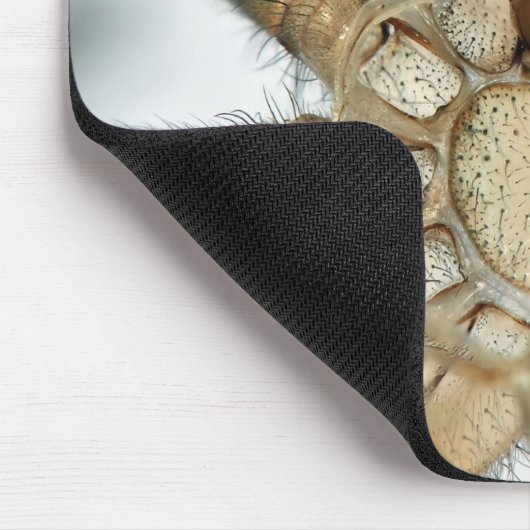 exoskeletspin muismat (Hoek)