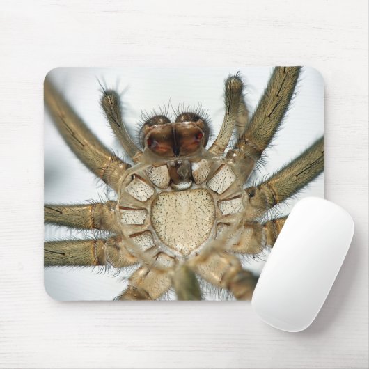 exoskeletspin muismat (Met muis)