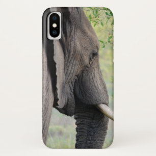 Exotic African Grey Elephant Case-Mate iPhone Case