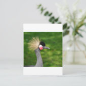 Exotic Bird Briefkaart (Staand voorkant)