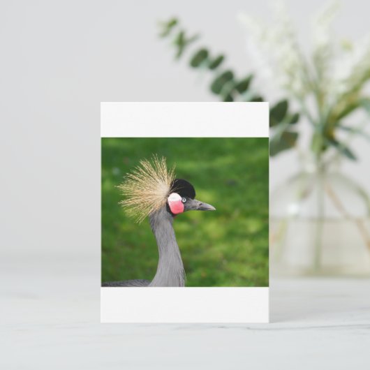 Exotic Bird Briefkaart (Staand voorkant)
