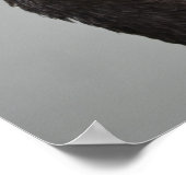 Exotic Black Swan Poster (Hoek)