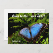 Exotic blue butterfly 2 briefkaart (Voorkant / Achterkant)