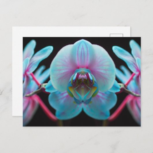 Exotic Blue Orchid Reflection Briefkaart (Voorkant / Achterkant)