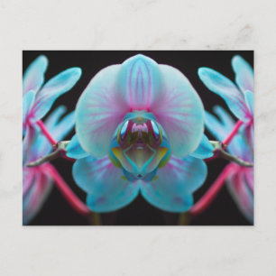 Exotic Blue Orchid Reflection Briefkaart