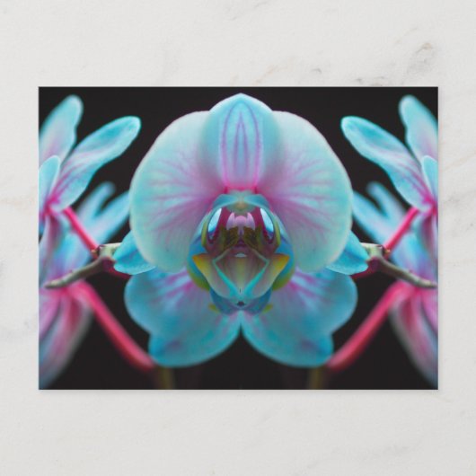 Exotic Blue Orchid Reflection Briefkaart (Voorkant)