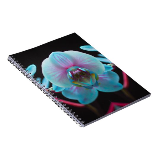 Exotic Blue Orchid Reflection Notitieboek (Rechterzijde)