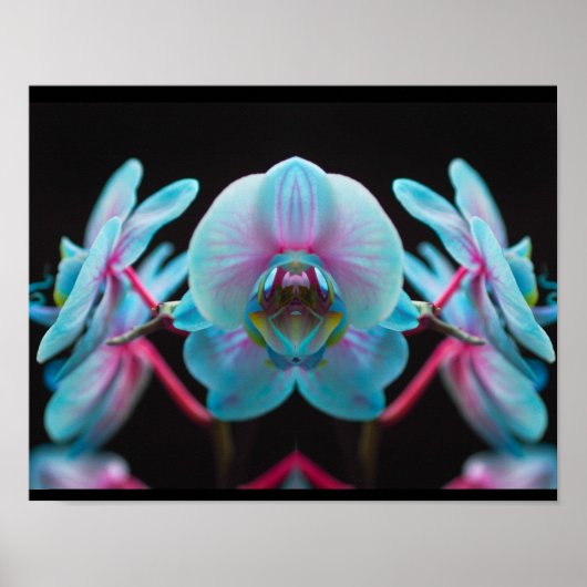 Exotic Blue Orchid Reflection Poster (Voorkant)