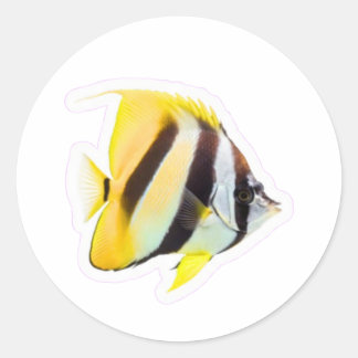 Exotic Butterfly Fish - Vibrant Coral Reef Beauty  Ronde Sticker