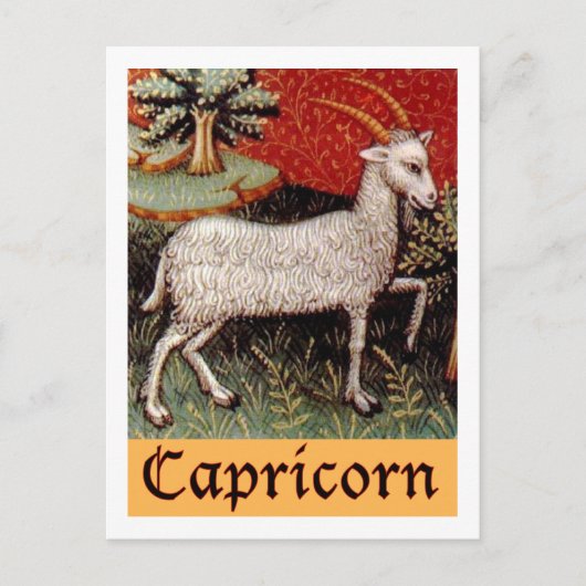 Exotic Capricorn Zodiac Sign Briefkaart (Voorkant)