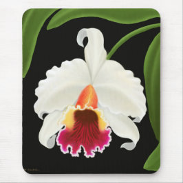 Exotic Cattleya Orchid Flower Muismat