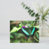 Exotic Emerald Swallowtail Briefkaart (Staand voorkant)