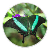 Exotic Emerald Swallowtail Keramische Knop (Voorkant)