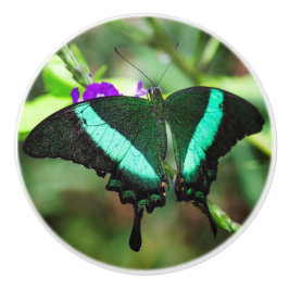 Exotic Emerald Swallowtail Keramische Knop