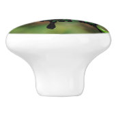 Exotic Emerald Swallowtail Keramische Knop (Zijkant)