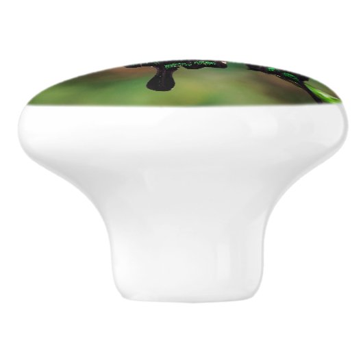 Exotic Emerald Swallowtail Keramische Knop (Zijkant)