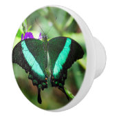 Exotic Emerald Swallowtail Keramische Knop (Rechts)