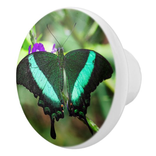 Exotic Emerald Swallowtail Keramische Knop (Rechts)