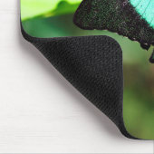 Exotic Emerald Swallowtail Muismat (Hoek)