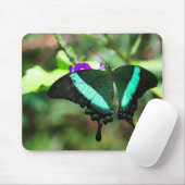 Exotic Emerald Swallowtail Muismat (Met muis)