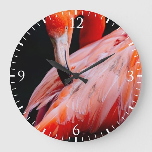 Exotic Flamingo Portrait Grote Klok (Voorkant)