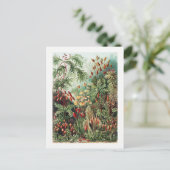 Exotic Flower Wild Forest Oerwoud  Briefkaart (Staand voorkant)