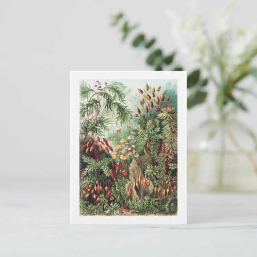 Exotic Flower Wild Forest Oerwoud  Briefkaart (Staand voorkant)